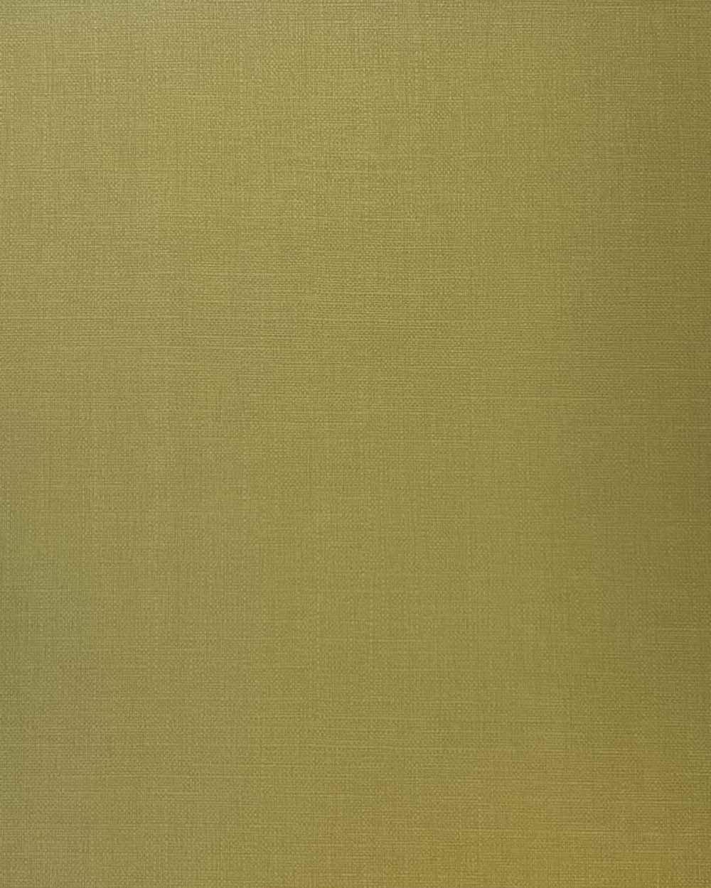 GEORGIA 200