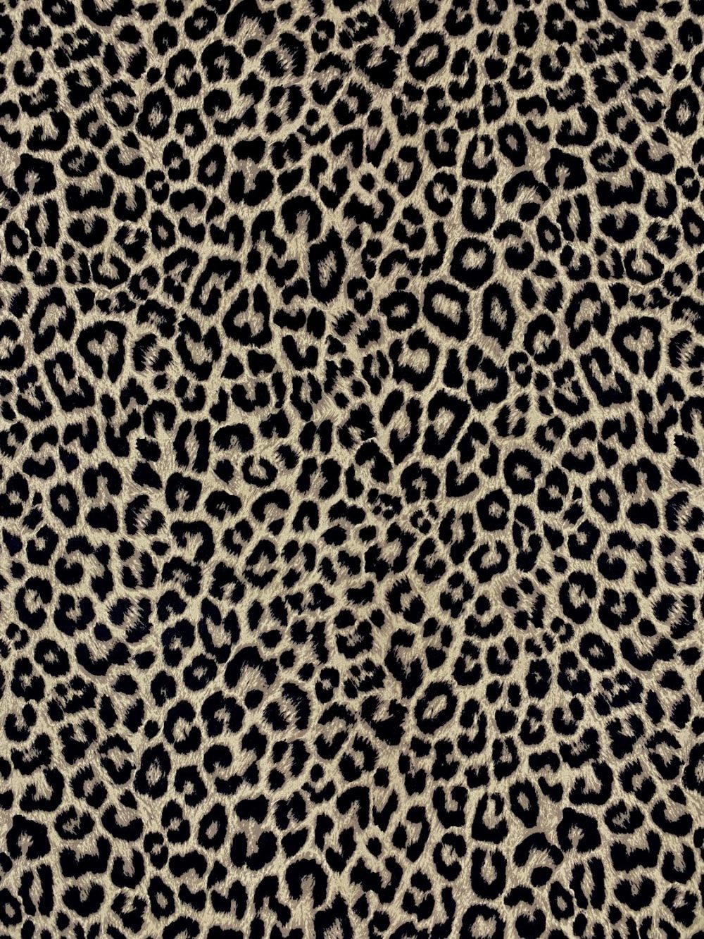 SERENGETI 60