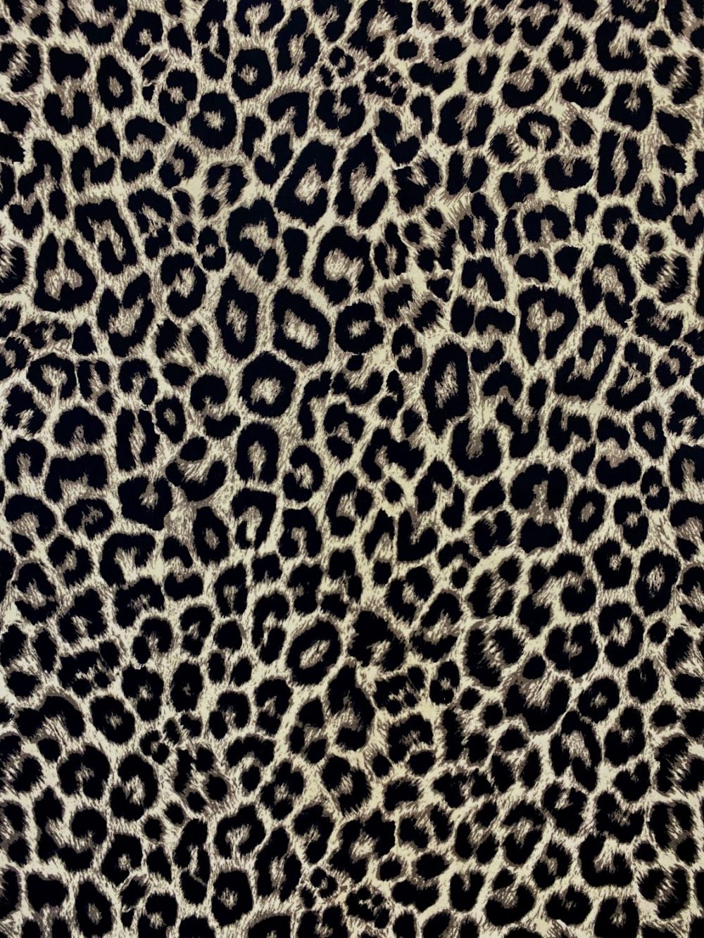 SERENGETI 40