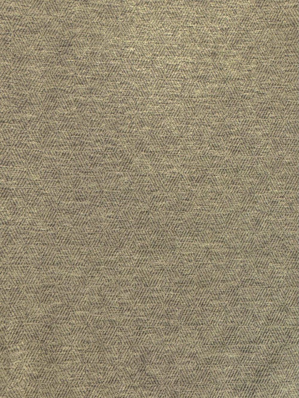 SARESOTA 206