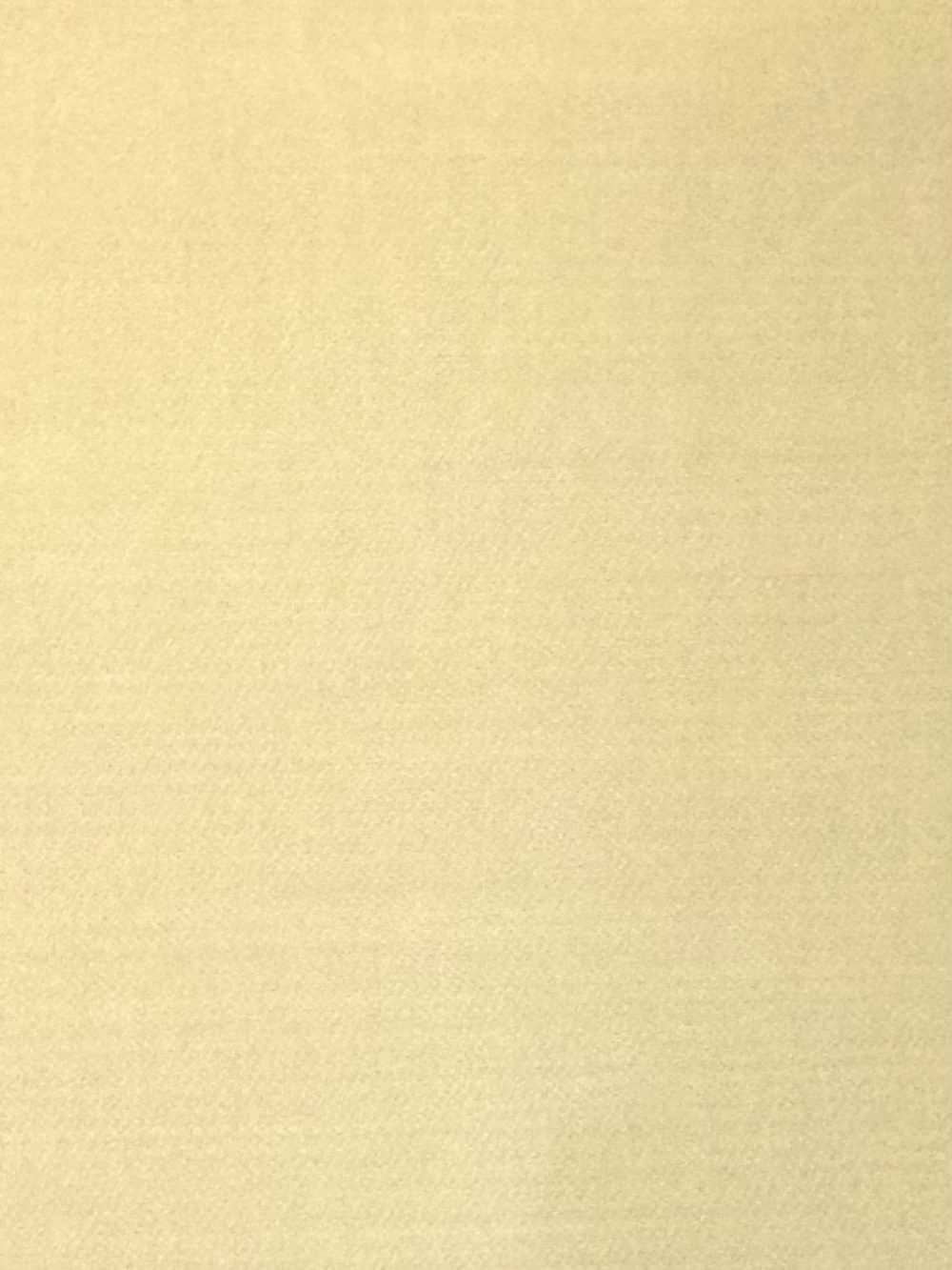 MONET 100