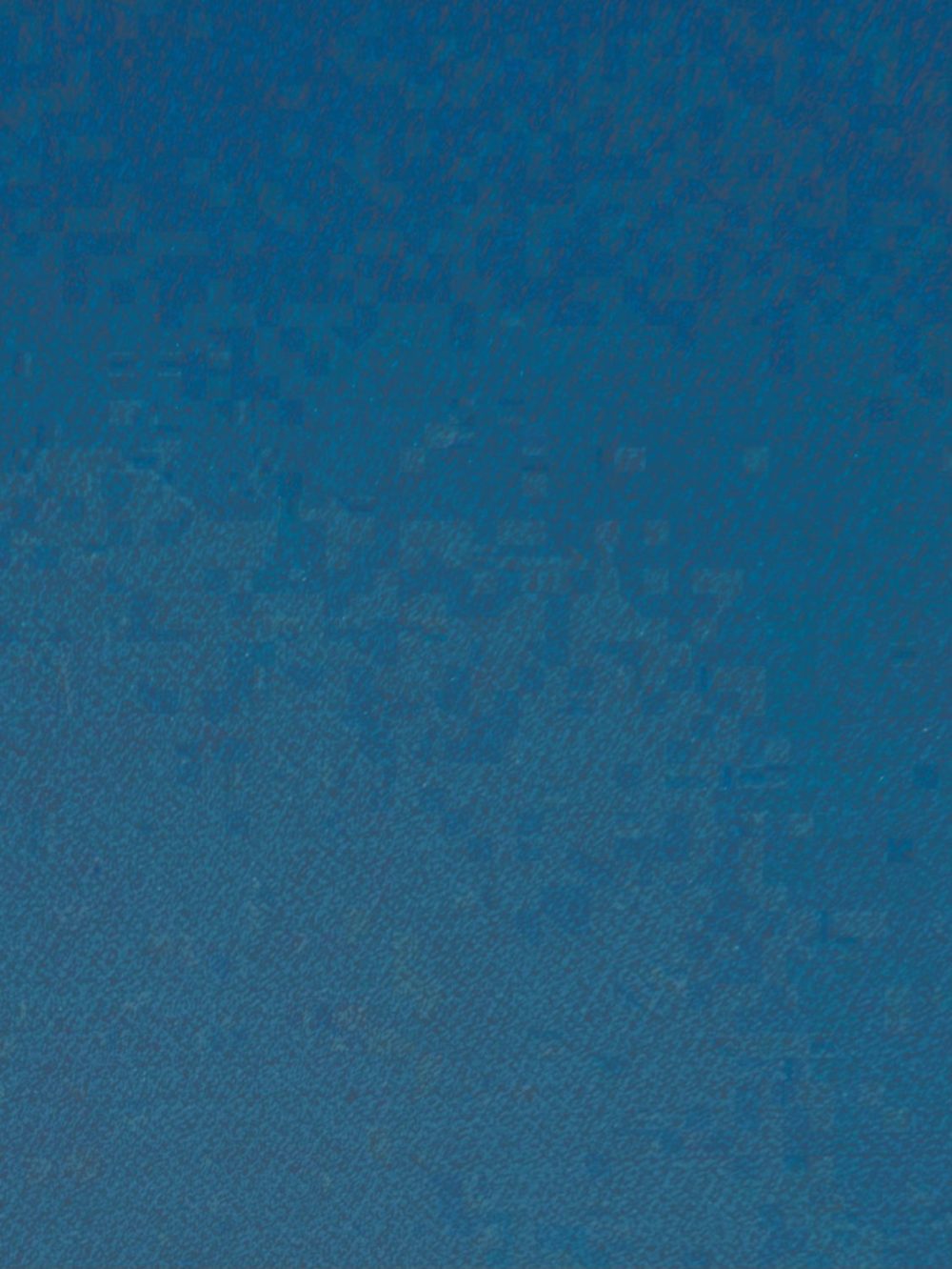 MONET 30