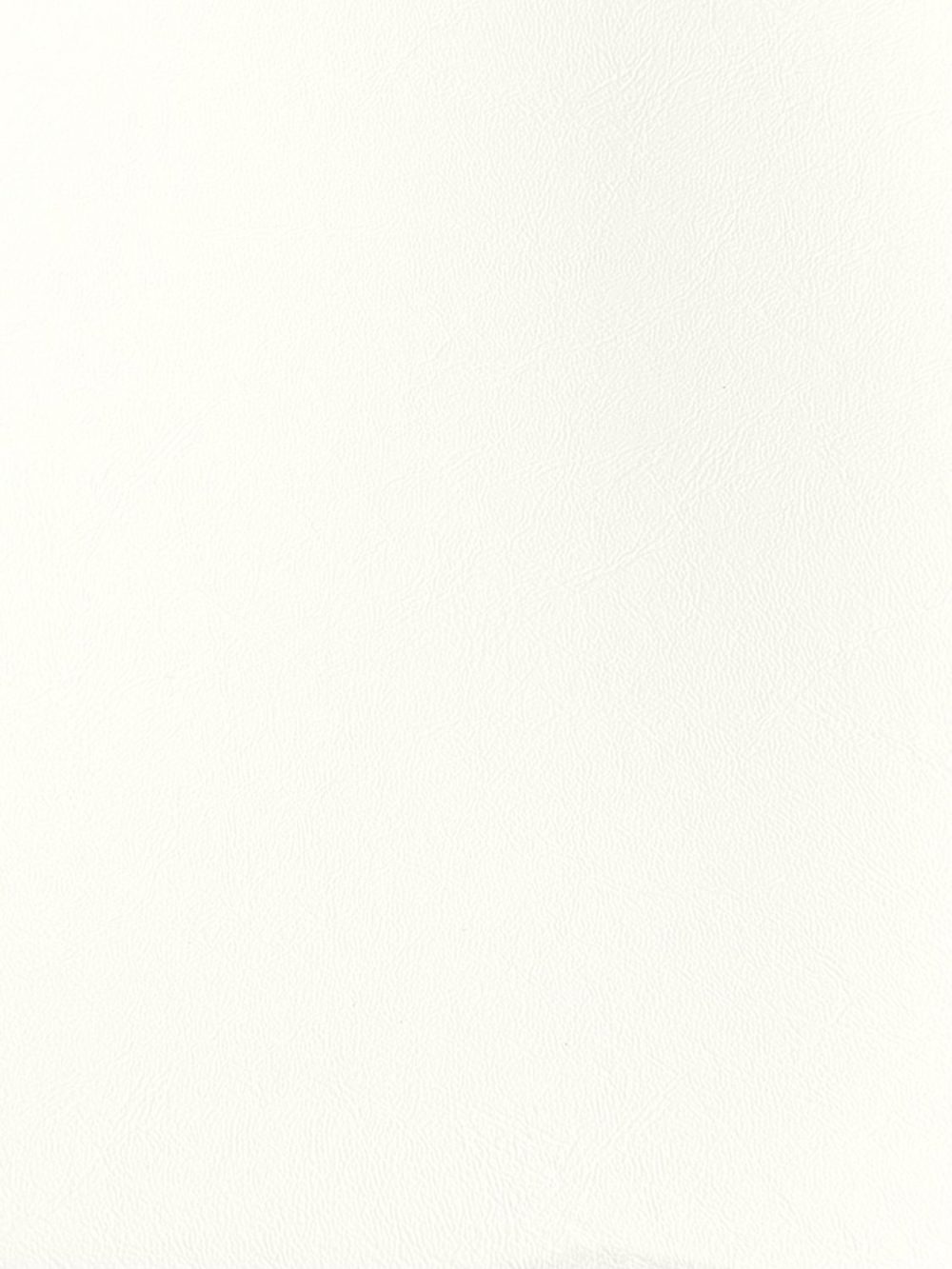GLACIER 10