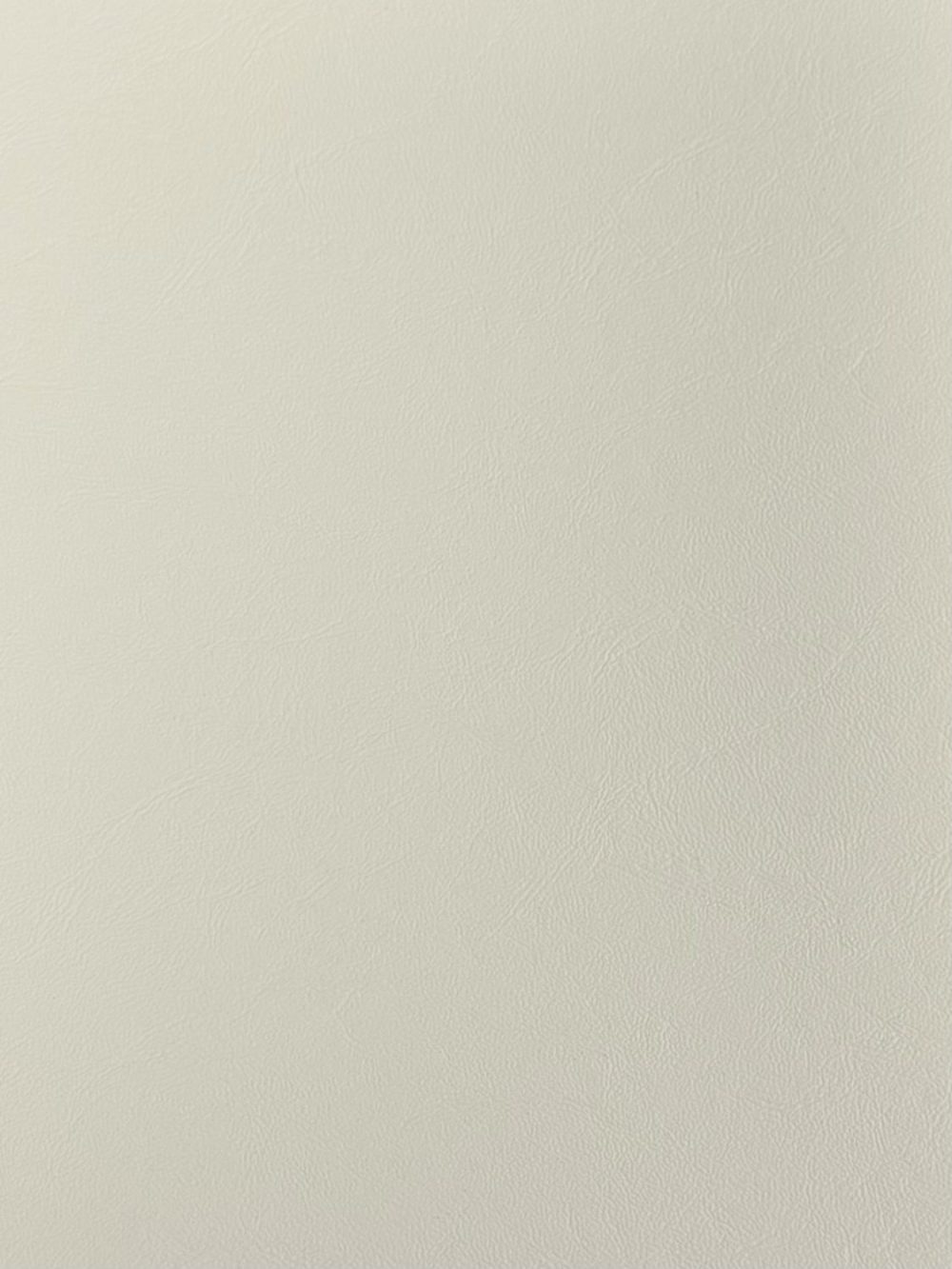 GLACIER 61